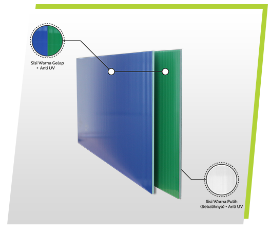 TwinLite Duo Product